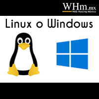 Servidor Linux